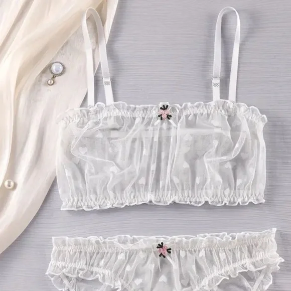 Elegant Sheer Hearts Lingerie Set - Picture 7 of 8